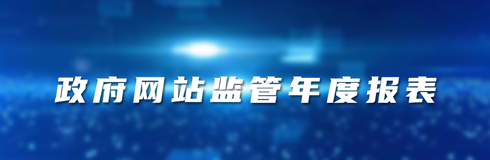 政府網站監管年度報表